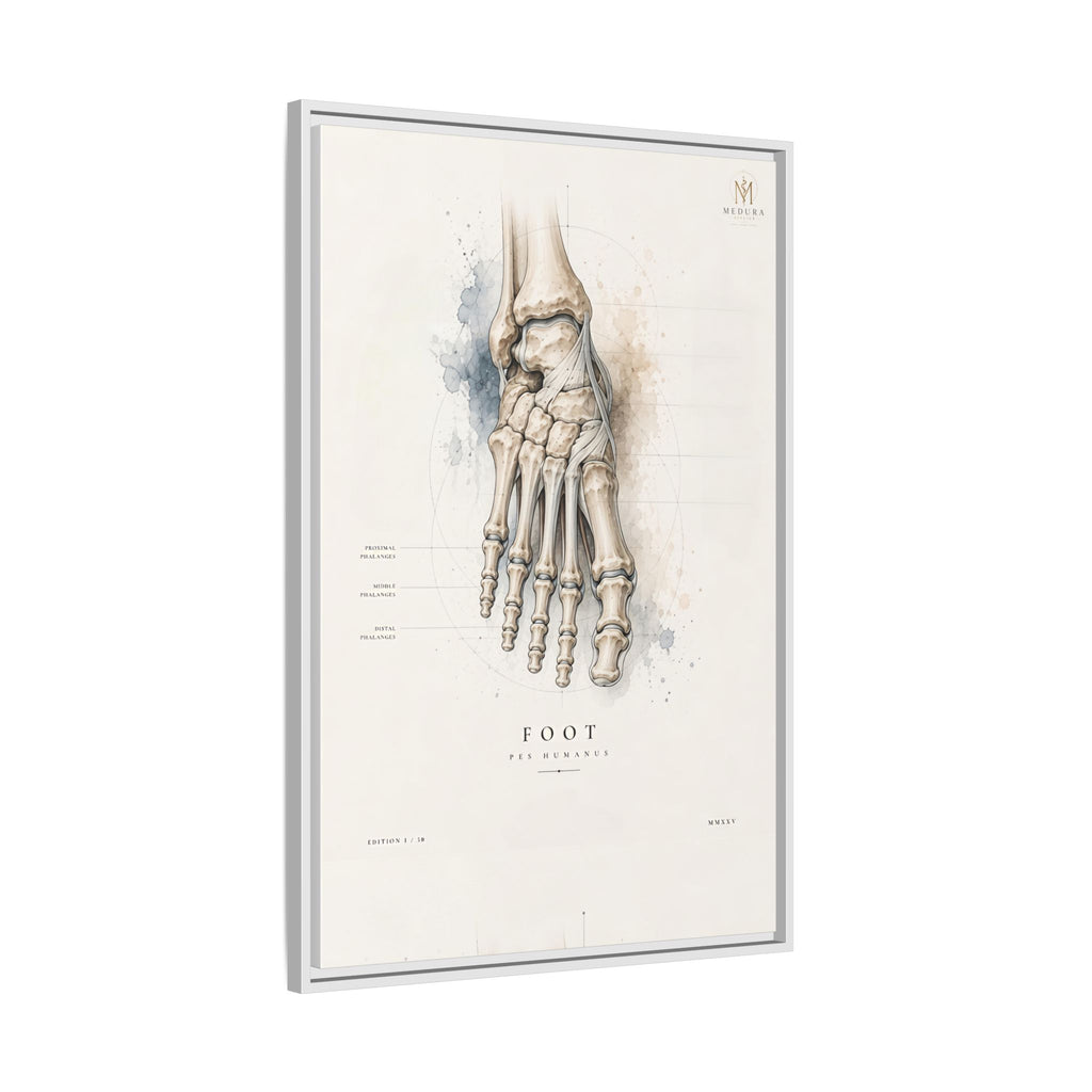Anatomical Foot Skeleton Wall Art | Luxury Podiatry Canvas Print | Museum-Inspired Fine Art
