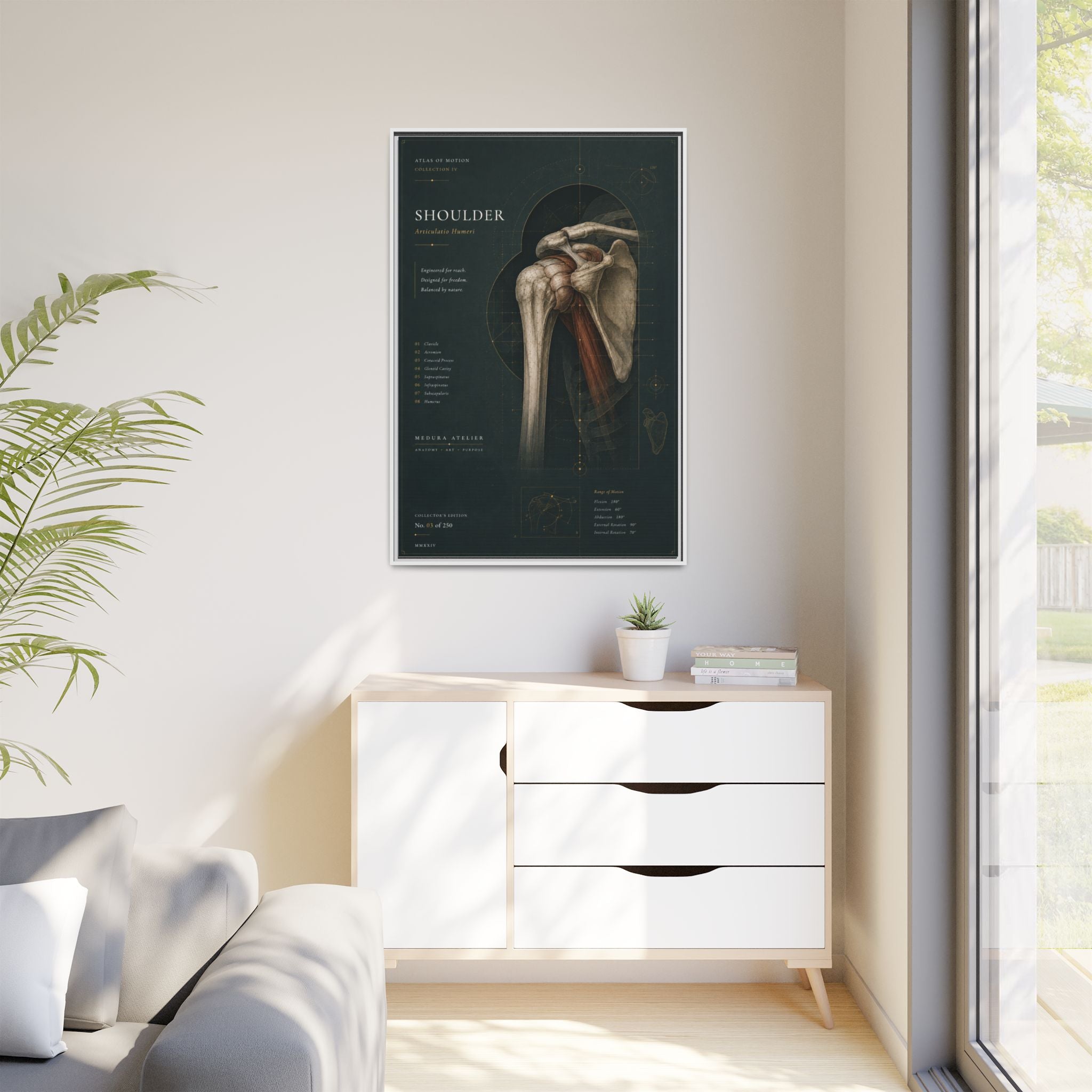 Copy of Atlas of Motion – Knee Wall Art | Luxury Orthopedic Canvas Print | Museum-Inspired Fine Art