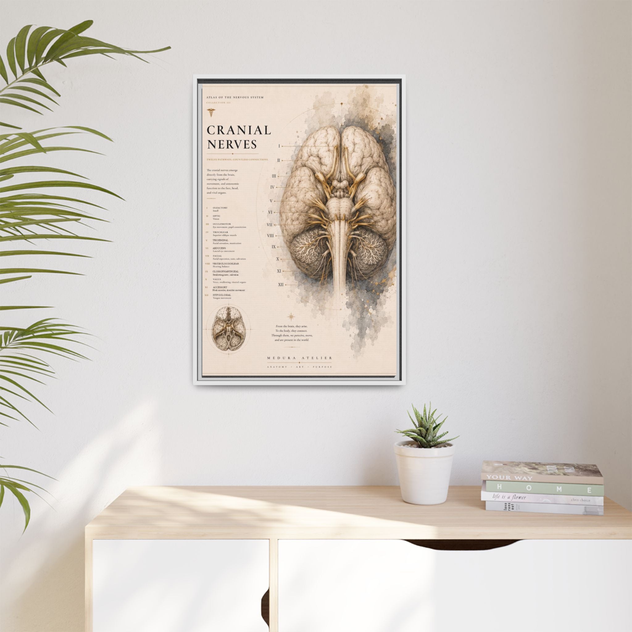 White Matter Brain Wall Art | Luxury Neuroscience Canvas Print | Museum-Inspired Fine Art