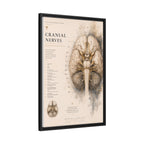 White Matter Brain Wall Art | Luxury Neuroscience Canvas Print | Museum-Inspired Fine Art
