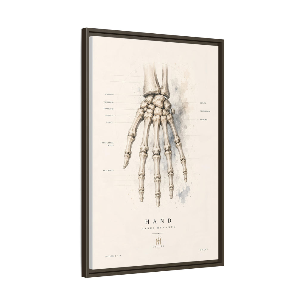 Anatomical Hand Skeleton Wall Art | Luxury Orthopaedic Canvas Print | Museum-Inspired Fine Art
