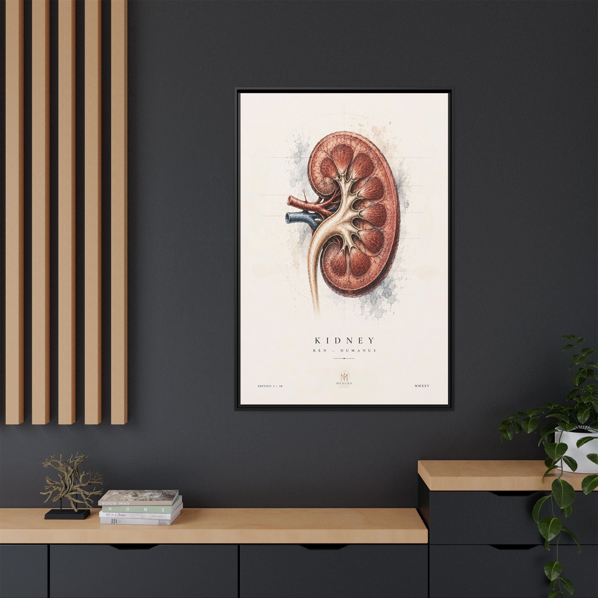 Anatomical Kidney Wall Art | Luxury Nephrology Canvas Print | Museum-Inspired Fine Art