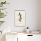 Anatomical Spine Wall Art | Luxury Vertebral Column Canvas Print | Museum-Inspired Fine Art