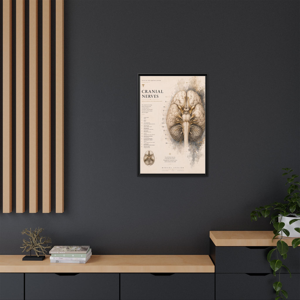 White Matter Brain Wall Art | Luxury Neuroscience Canvas Print | Museum-Inspired Fine Art