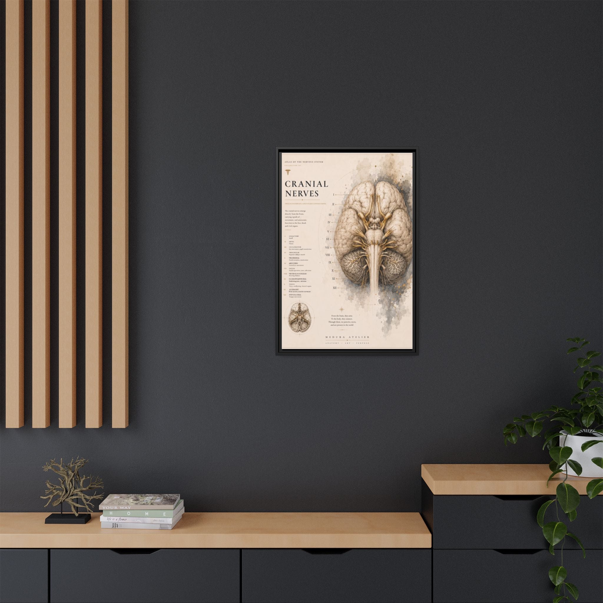 White Matter Brain Wall Art | Luxury Neuroscience Canvas Print | Museum-Inspired Fine Art