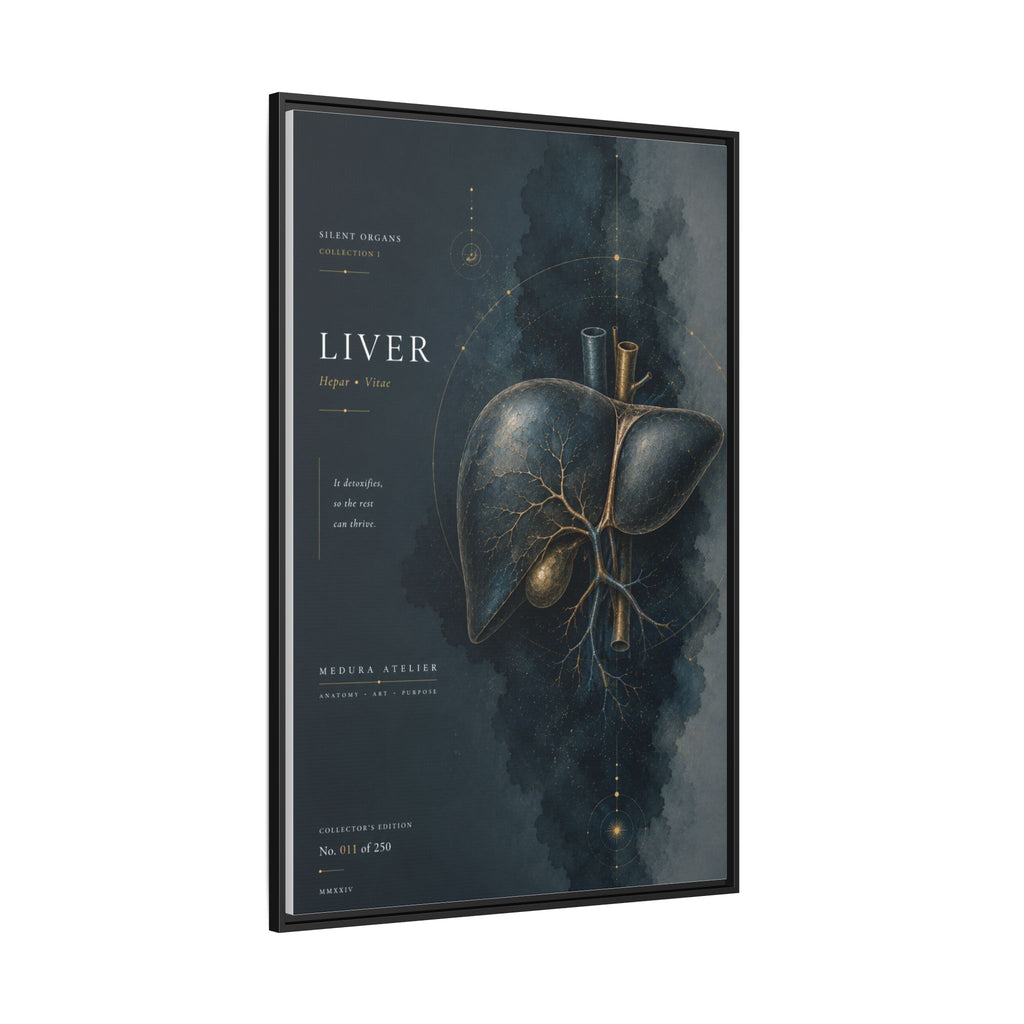 Silent Organs – Liver Wall Art | Luxury Anatomical Canvas Print | Museum-Inspired Fine Art