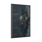 Silent Organs – Liver Wall Art | Luxury Anatomical Canvas Print | Museum-Inspired Fine Art