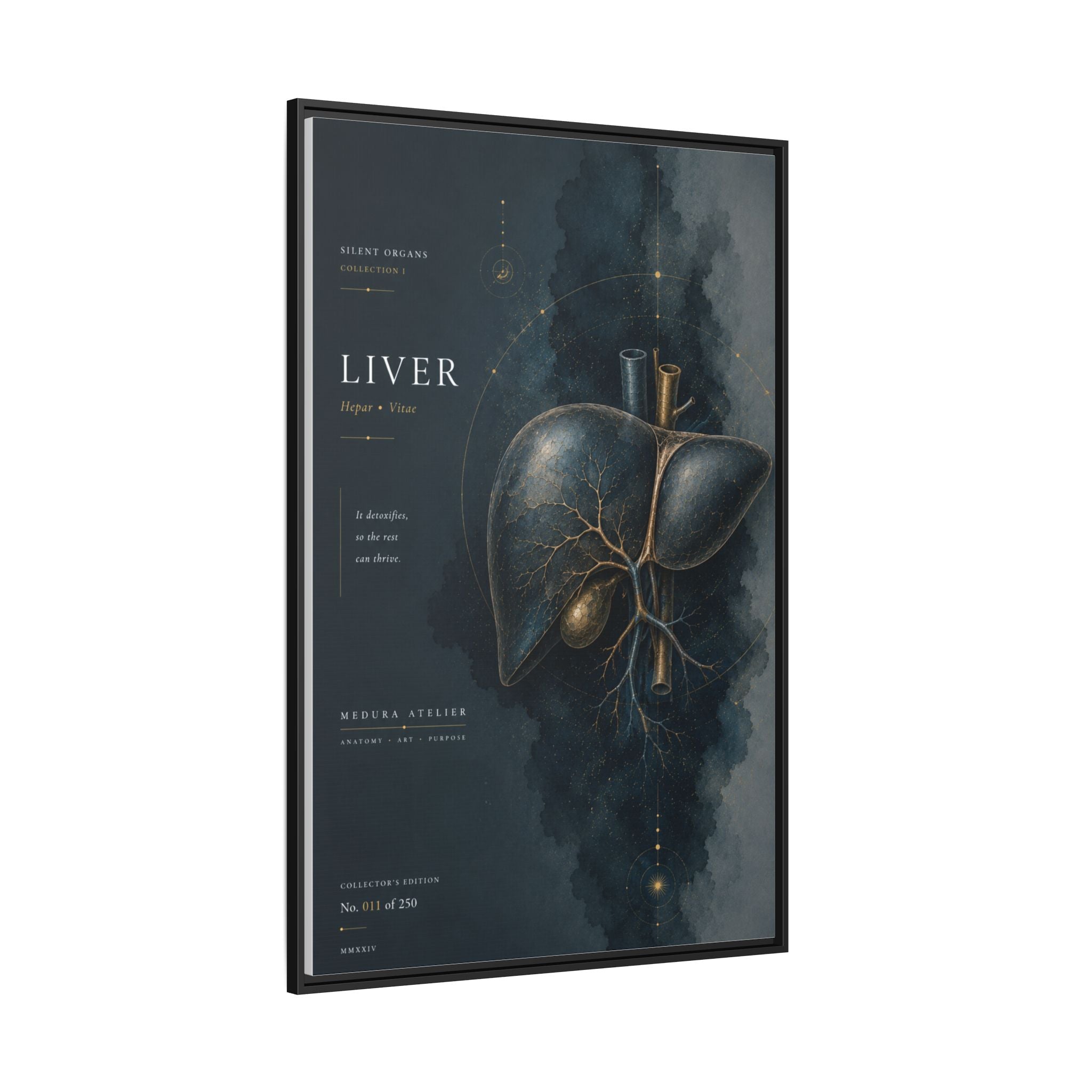 Silent Organs – Liver Wall Art | Luxury Anatomical Canvas Print | Museum-Inspired Fine Art