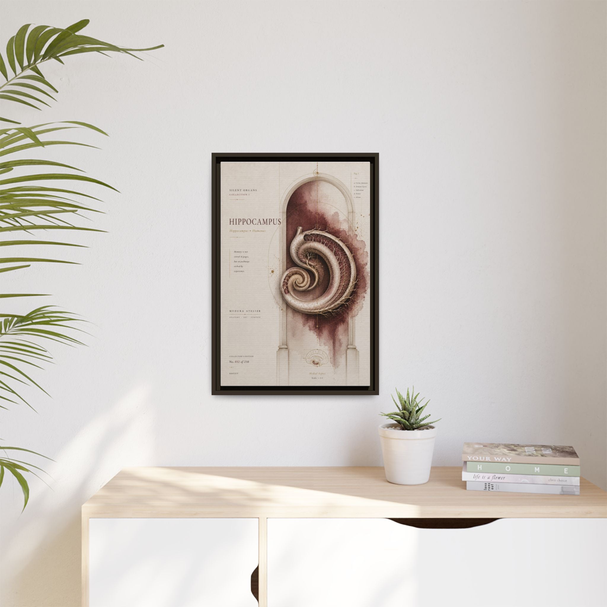 Silent Organs – Hippocampus Wall Art | Luxury Neuroscience Canvas Print | Museum-Inspired Fine Art