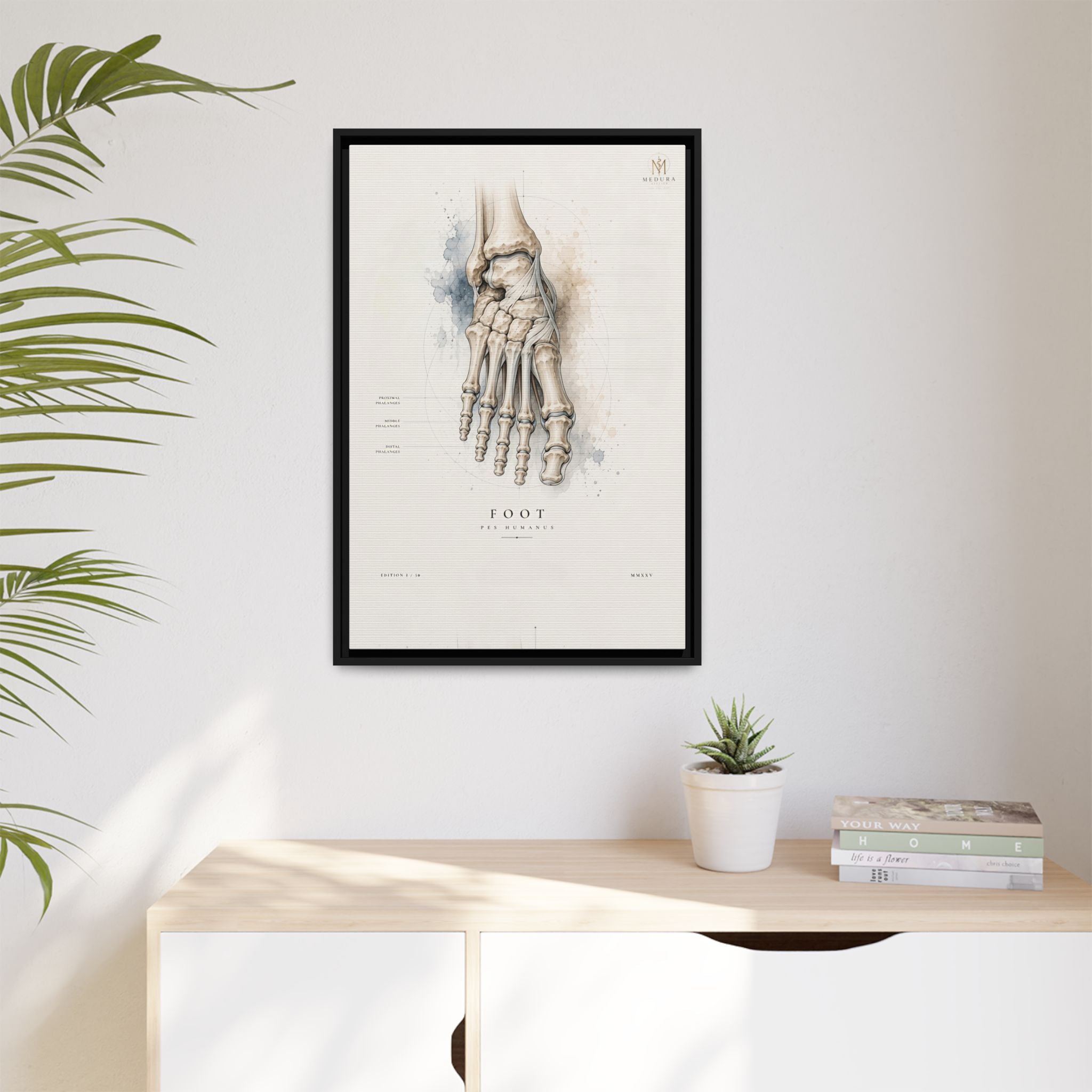 Anatomical Foot Skeleton Wall Art | Luxury Podiatry Canvas Print | Museum-Inspired Fine Art