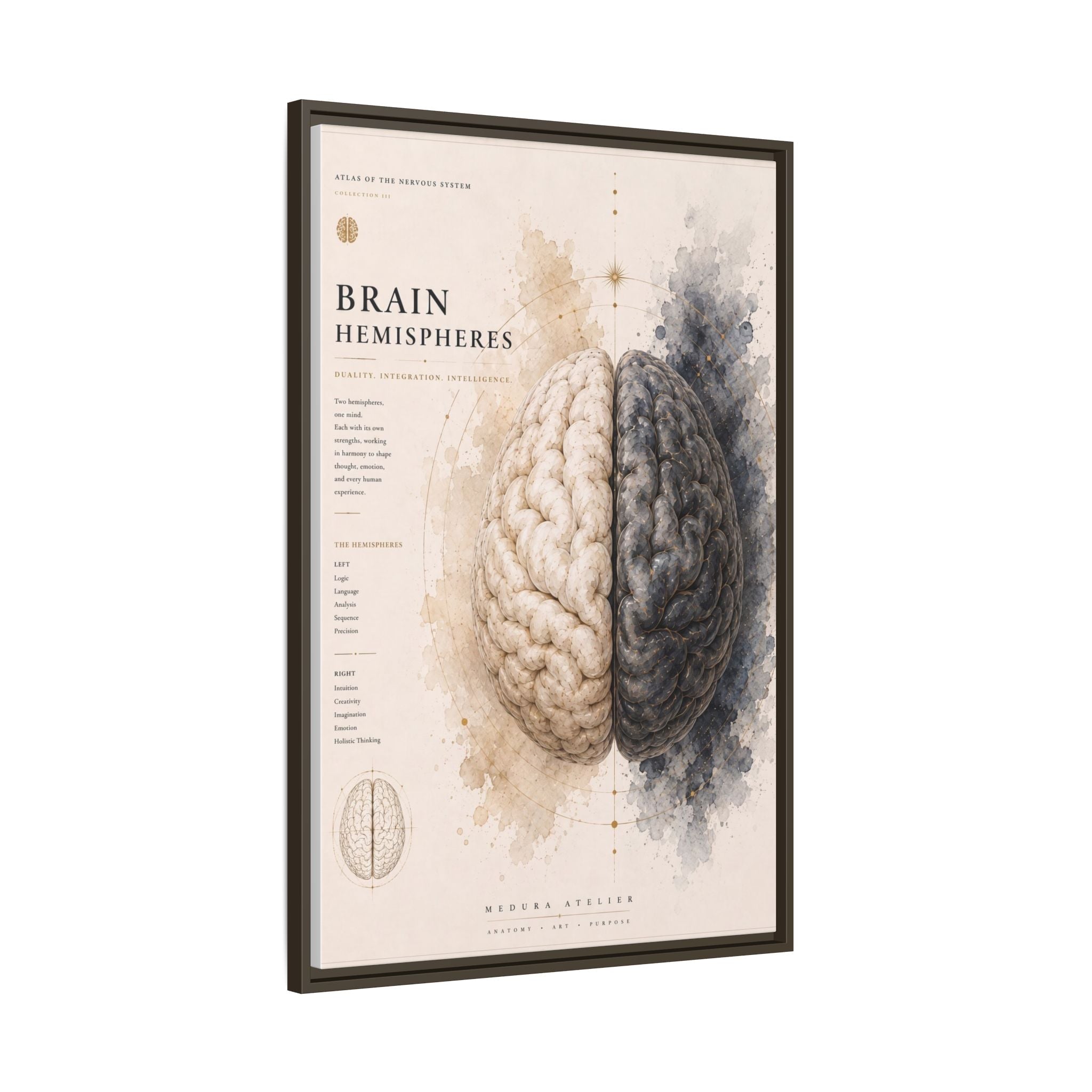 Brain Hemispheres Wall Art | Luxury Neuroscience Canvas Print | Museum-Inspired Fine Art