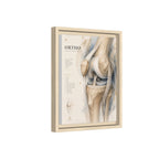 Orthopaedic Knee Anatomy Wall Art | Luxury Orthopedic Canvas Print | Museum-Inspired Fine Art
