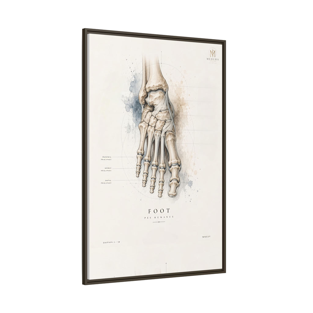 Anatomical Foot Skeleton Wall Art | Luxury Podiatry Canvas Print | Museum-Inspired Fine Art