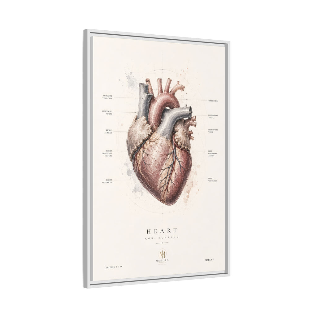 Anatomical Heart Wall Art | Luxury Medical Canvas Print | Museum-Inspired Fine Art