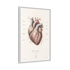 Anatomical Heart Wall Art | Luxury Medical Canvas Print | Museum-Inspired Fine Art