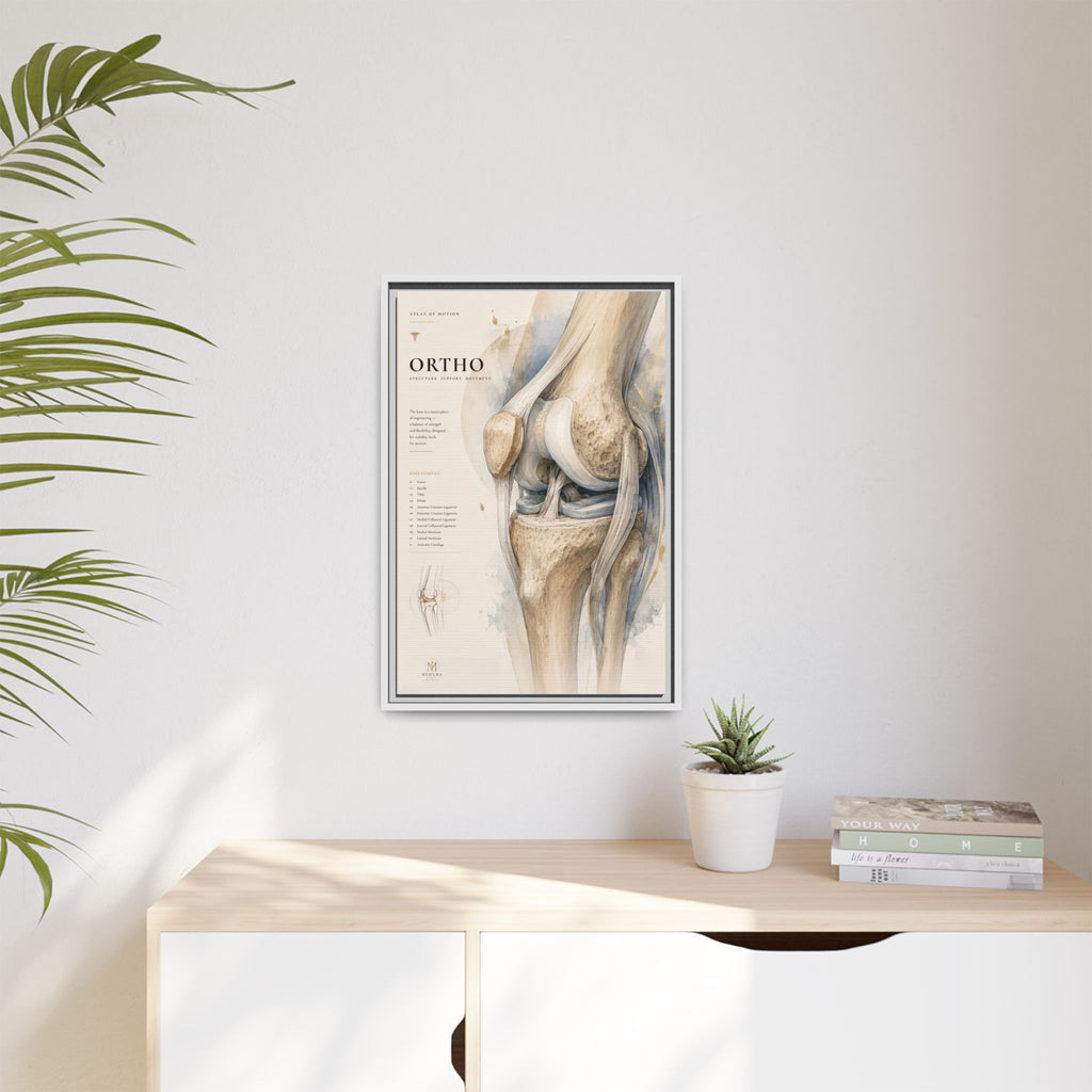 Orthopaedic Knee Anatomy Wall Art | Luxury Orthopedic Canvas Print | Museum-Inspired Fine Art