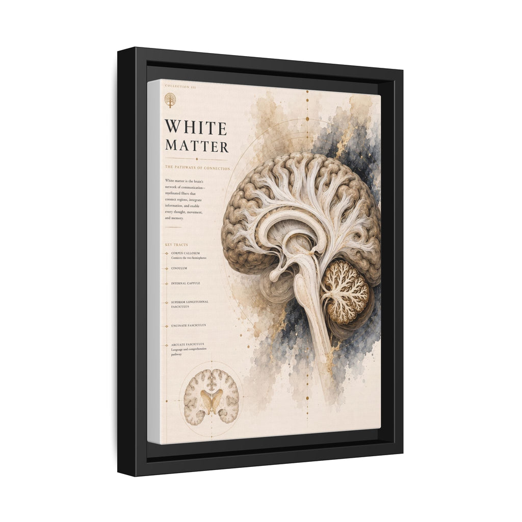 White Matter Brain Wall Art | Luxury Neuroscience Canvas Print | Museum-Inspired Fine Art