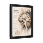 White Matter Brain Wall Art | Luxury Neuroscience Canvas Print | Museum-Inspired Fine Art