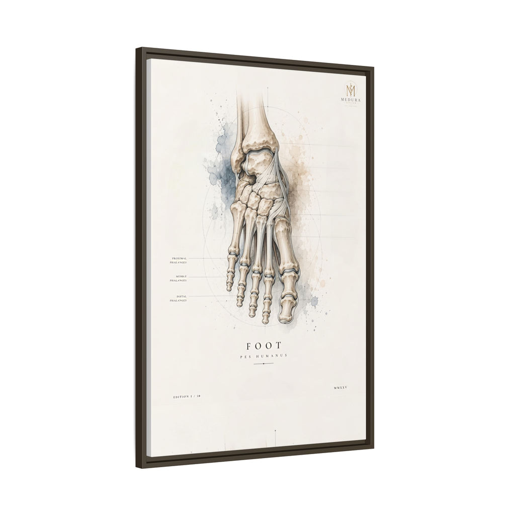 Anatomical Foot Skeleton Wall Art | Luxury Podiatry Canvas Print | Museum-Inspired Fine Art