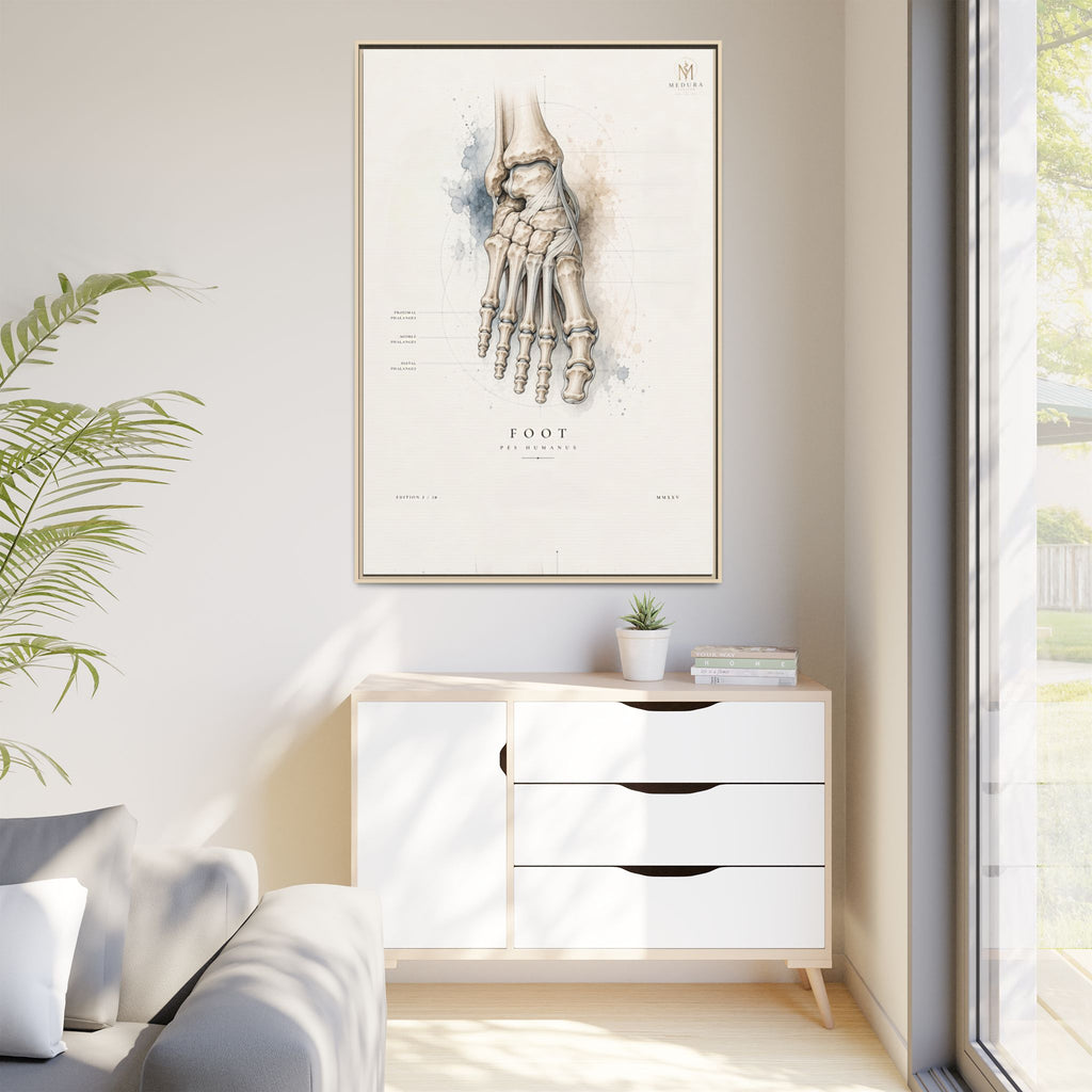 Anatomical Foot Skeleton Wall Art | Luxury Podiatry Canvas Print | Museum-Inspired Fine Art