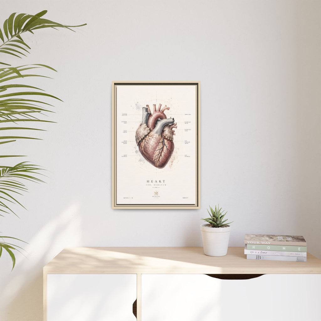Anatomical Heart Wall Art | Luxury Medical Canvas Print | Museum-Inspired Fine Art