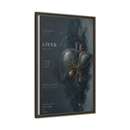 Silent Organs – Liver Wall Art | Luxury Anatomical Canvas Print | Museum-Inspired Fine Art