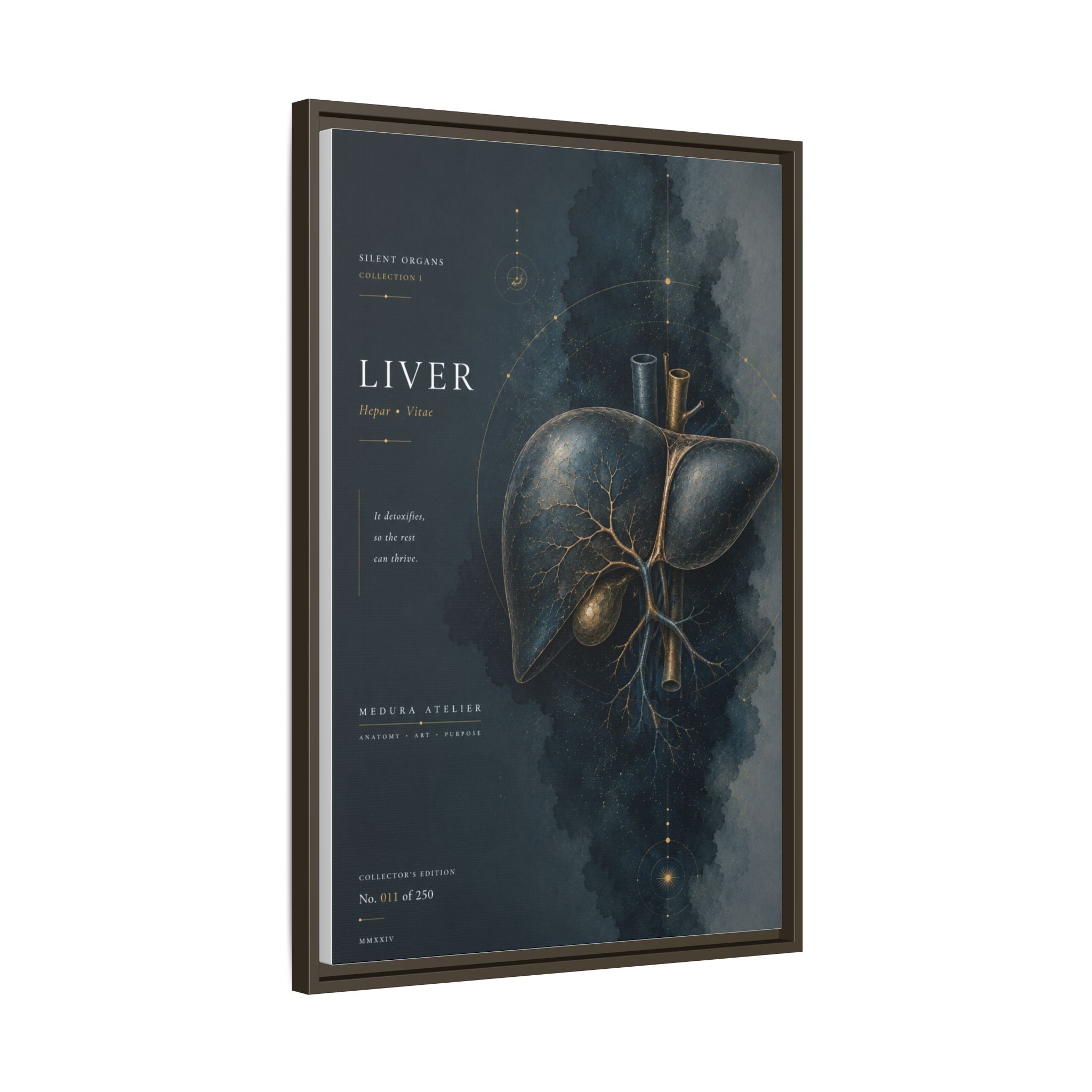 Silent Organs – Liver Wall Art | Luxury Anatomical Canvas Print | Museum-Inspired Fine Art
