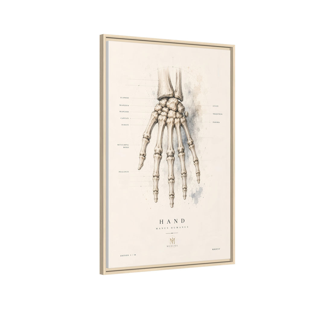 Anatomical Hand Skeleton Wall Art | Luxury Orthopaedic Canvas Print | Museum-Inspired Fine Art