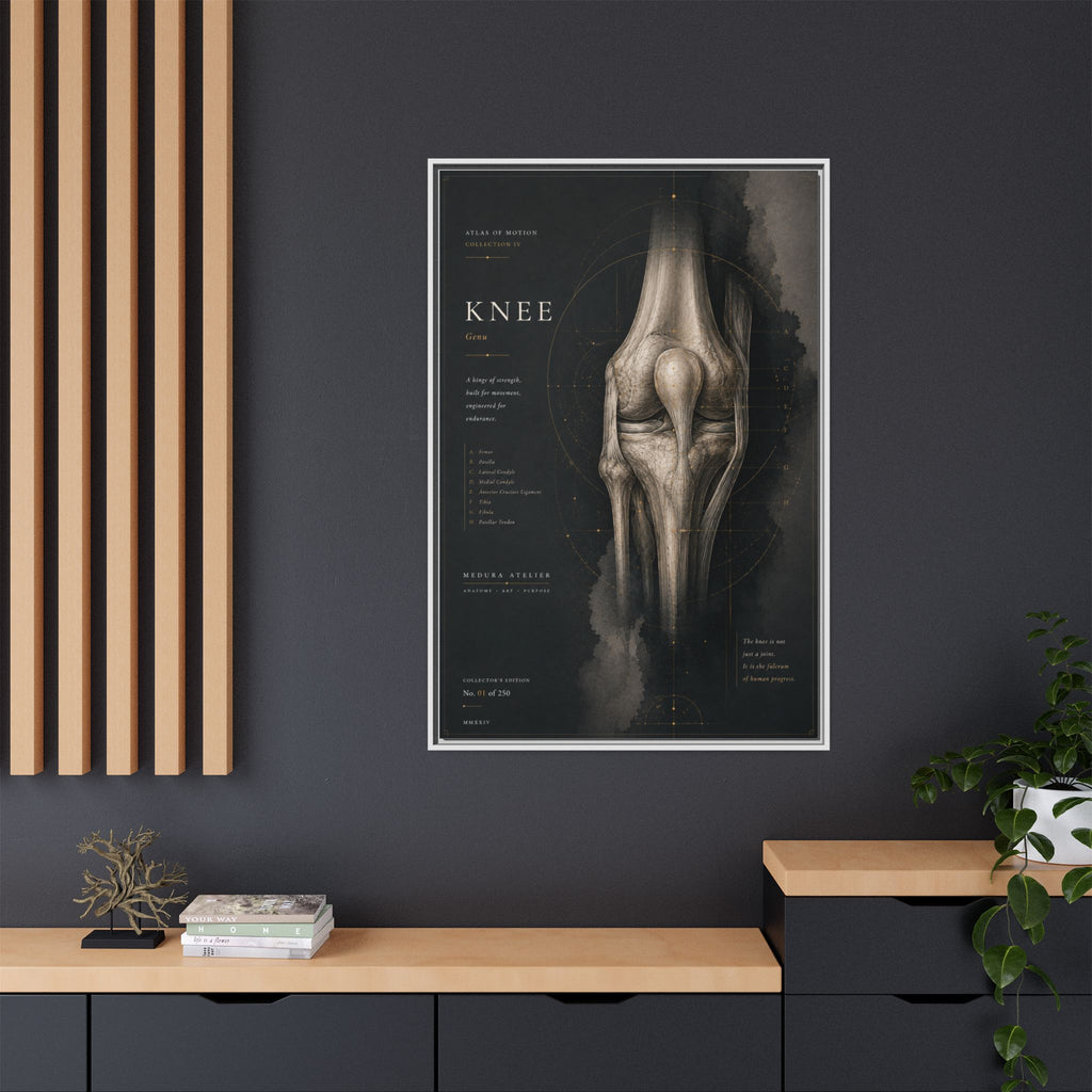 Atlas of Motion – Knee Wall Art | Luxury Orthopedic Canvas Print | Museum-Inspired Fine Art