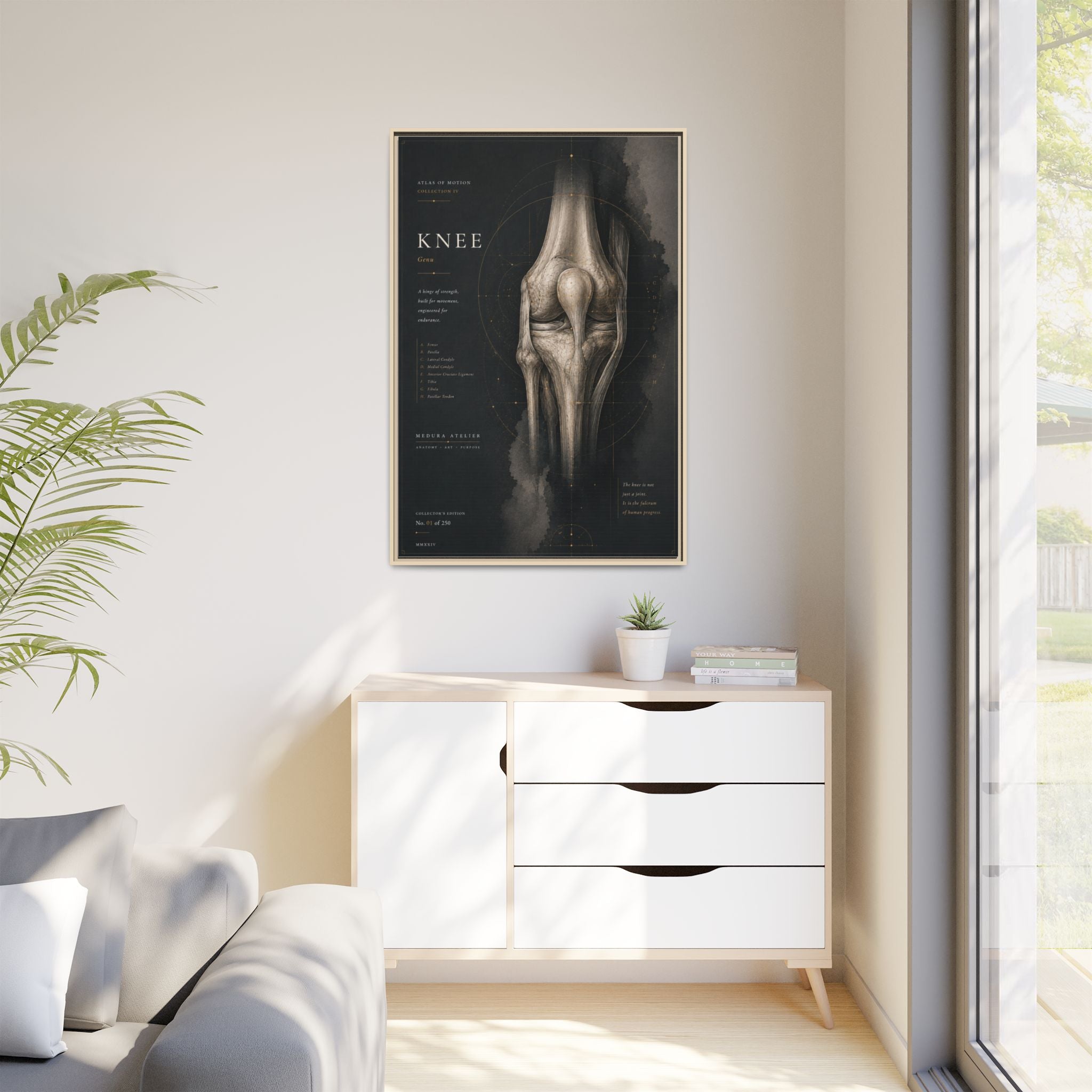 Atlas of Motion – Knee Wall Art | Luxury Orthopedic Canvas Print | Museum-Inspired Fine Art
