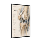 Orthopaedic Knee Anatomy Wall Art | Luxury Orthopedic Canvas Print | Museum-Inspired Fine Art