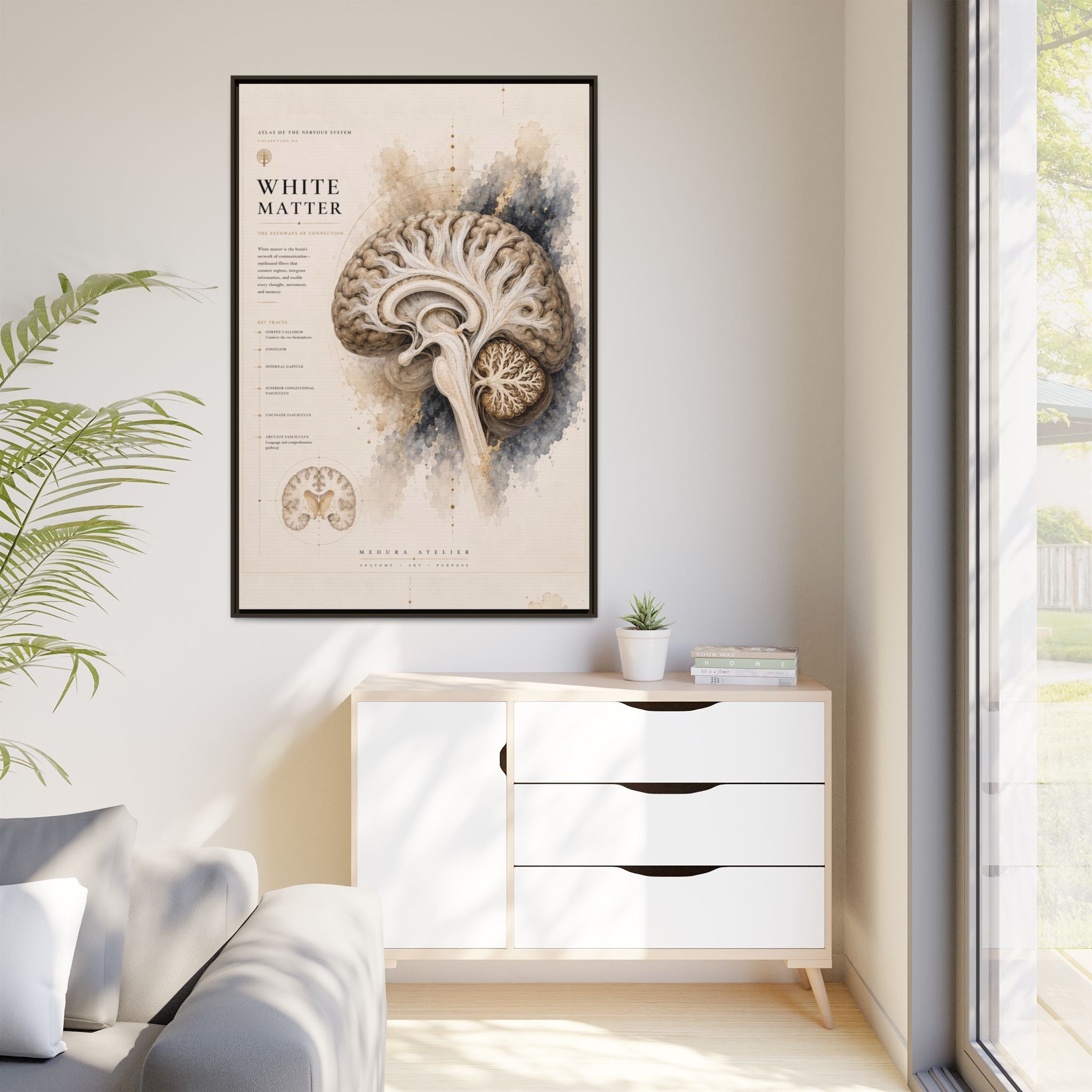 White Matter Brain Wall Art | Luxury Neuroscience Canvas Print | Museum-Inspired Fine Art
