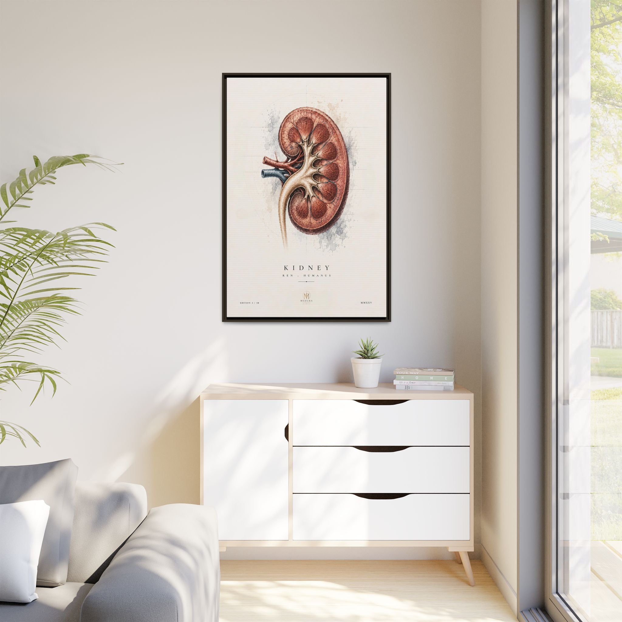 Anatomical Kidney Wall Art | Luxury Nephrology Canvas Print | Museum-Inspired Fine Art