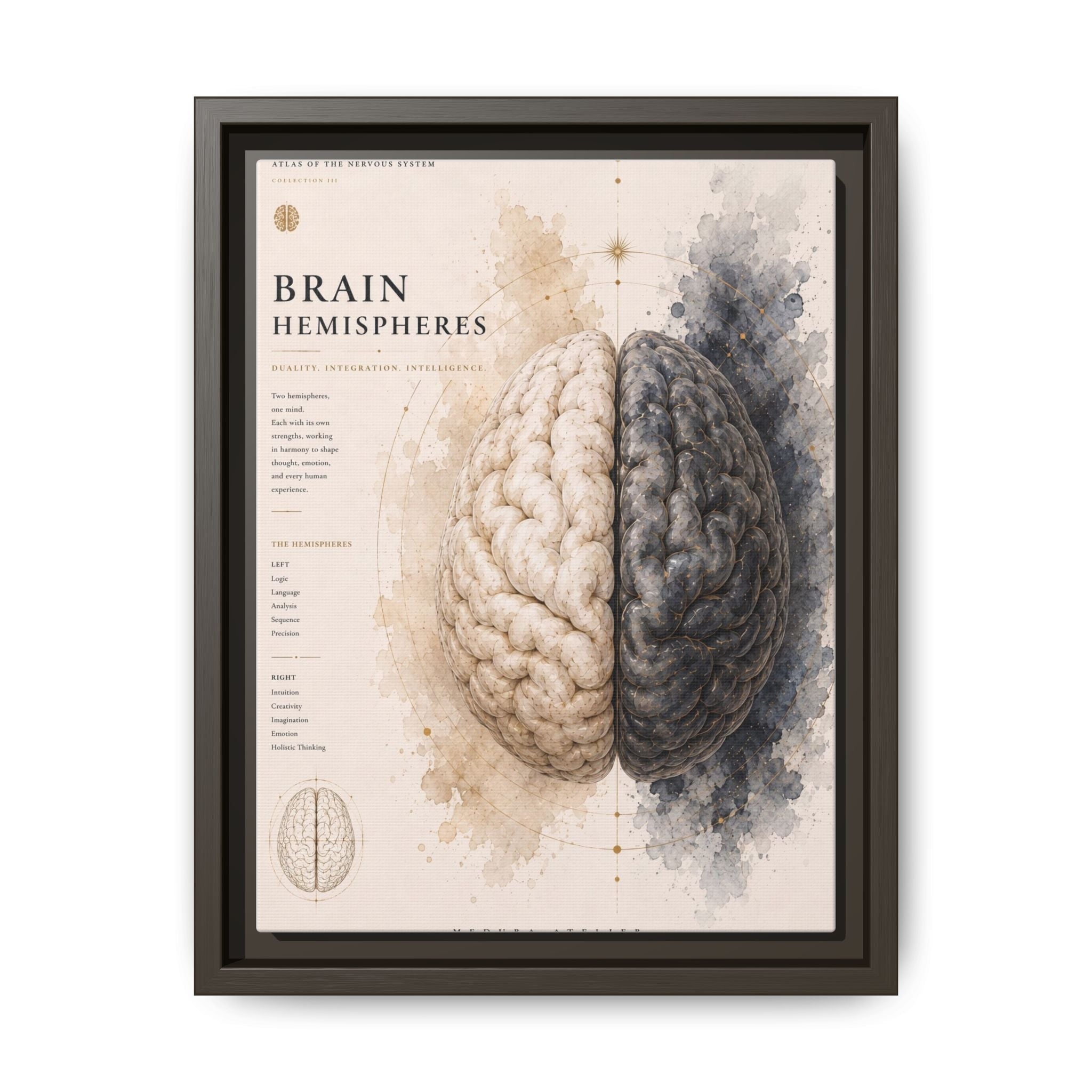 Brain Hemispheres Wall Art | Luxury Neuroscience Canvas Print | Museum-Inspired Fine Art