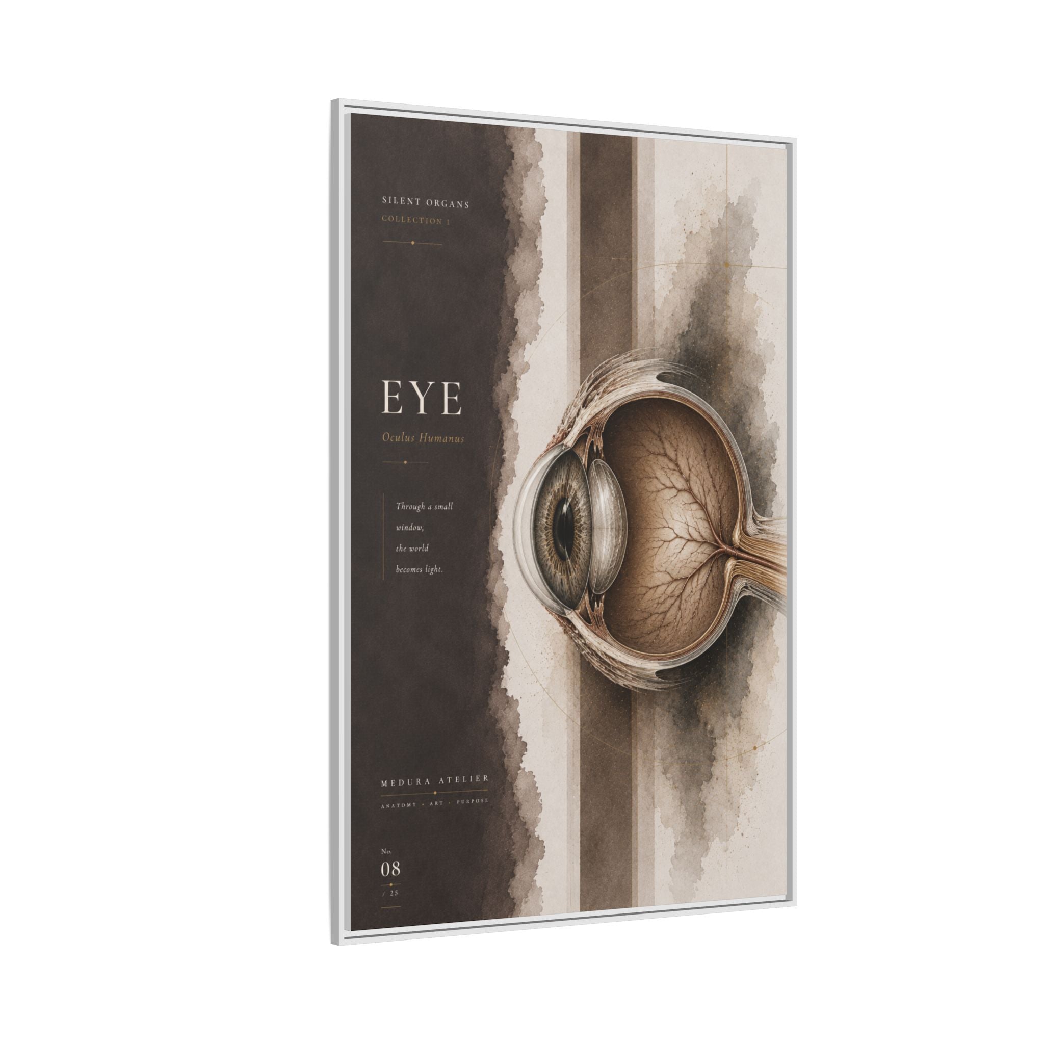 Silent Organs – Eye Wall Art | Luxury Anatomical Canvas Print | Museum-Inspired Fine Art