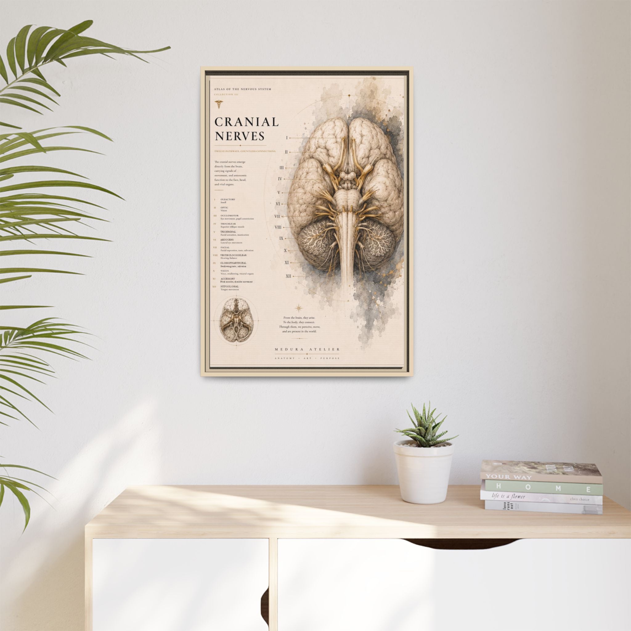 White Matter Brain Wall Art | Luxury Neuroscience Canvas Print | Museum-Inspired Fine Art