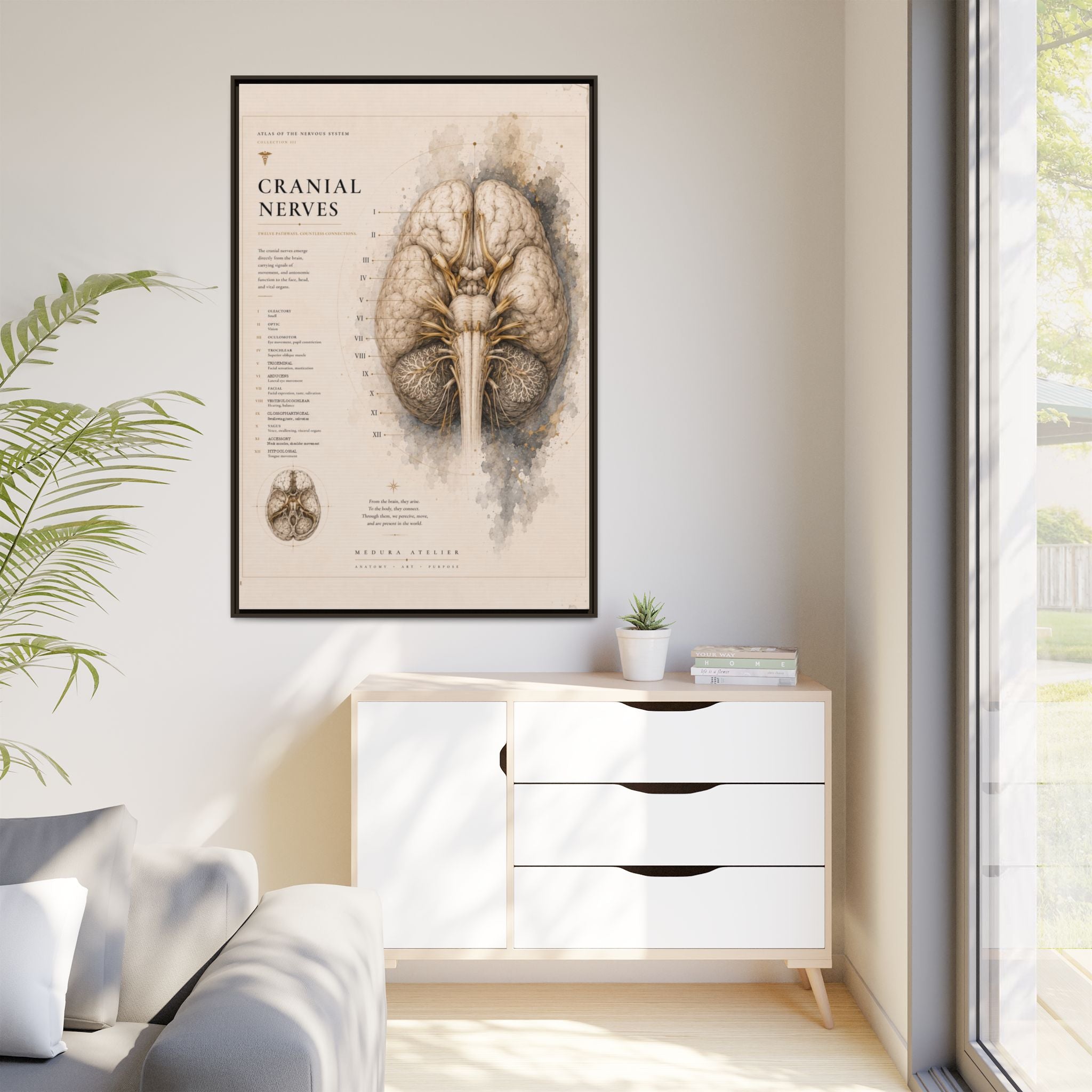 White Matter Brain Wall Art | Luxury Neuroscience Canvas Print | Museum-Inspired Fine Art