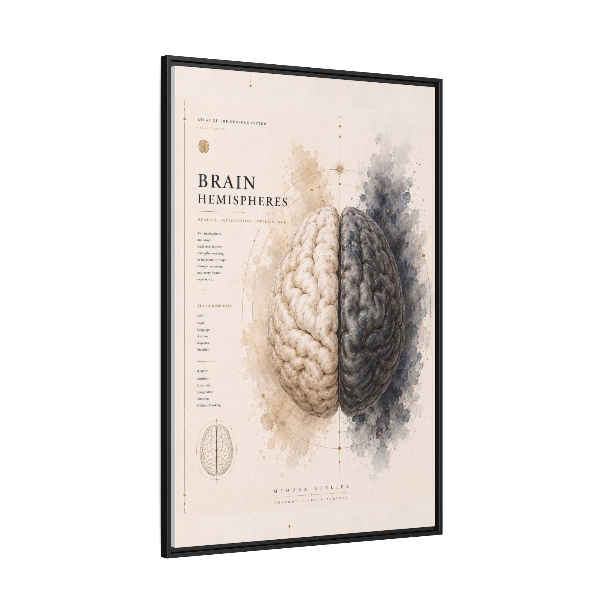 Brain Hemispheres Wall Art | Luxury Neuroscience Canvas Print | Museum-Inspired Fine Art