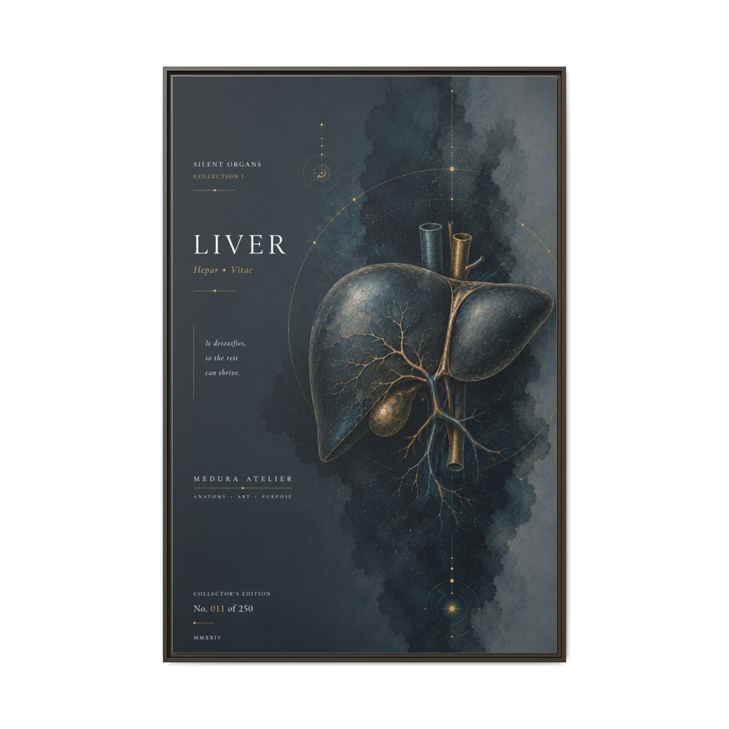 Silent Organs – Liver Wall Art | Luxury Anatomical Canvas Print | Museum-Inspired Fine Art