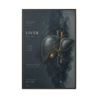 Silent Organs – Liver Wall Art | Luxury Anatomical Canvas Print | Museum-Inspired Fine Art