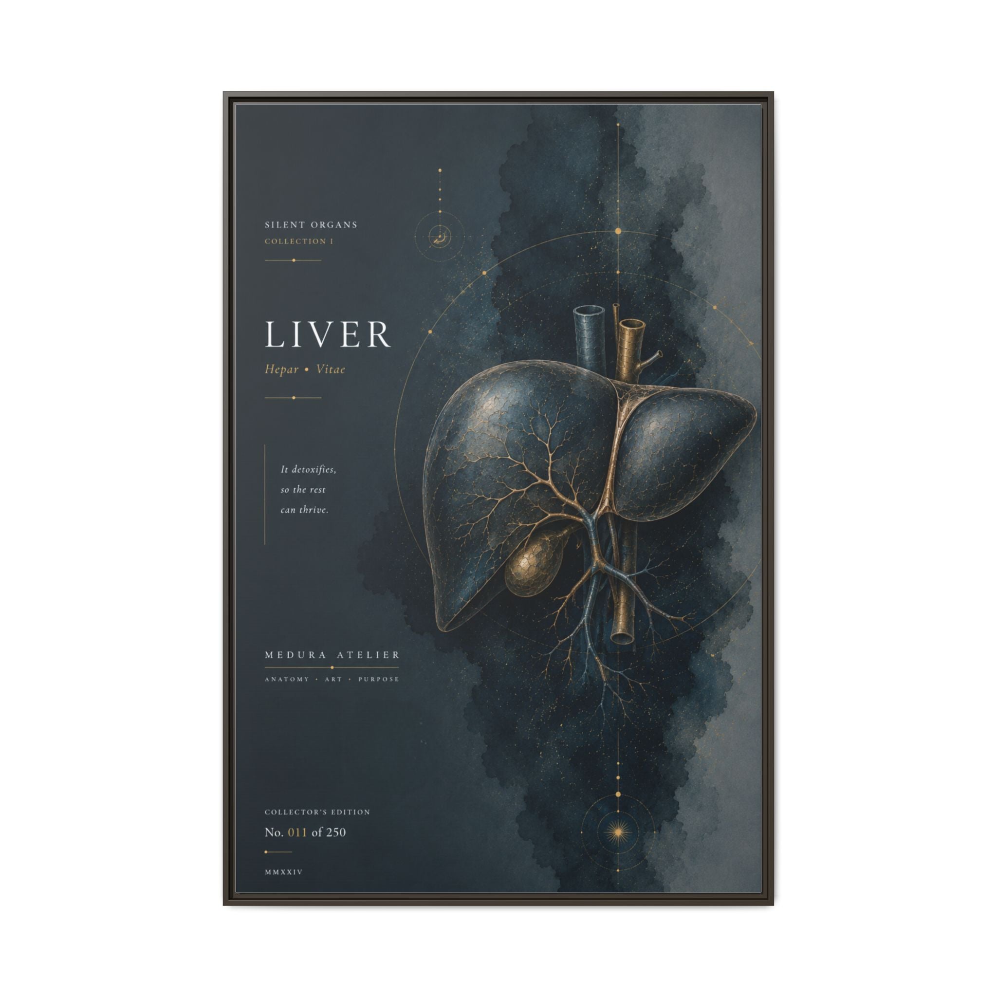 Silent Organs – Liver Wall Art | Luxury Anatomical Canvas Print | Museum-Inspired Fine Art