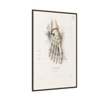 Anatomical Foot Skeleton Wall Art | Luxury Podiatry Canvas Print | Museum-Inspired Fine Art