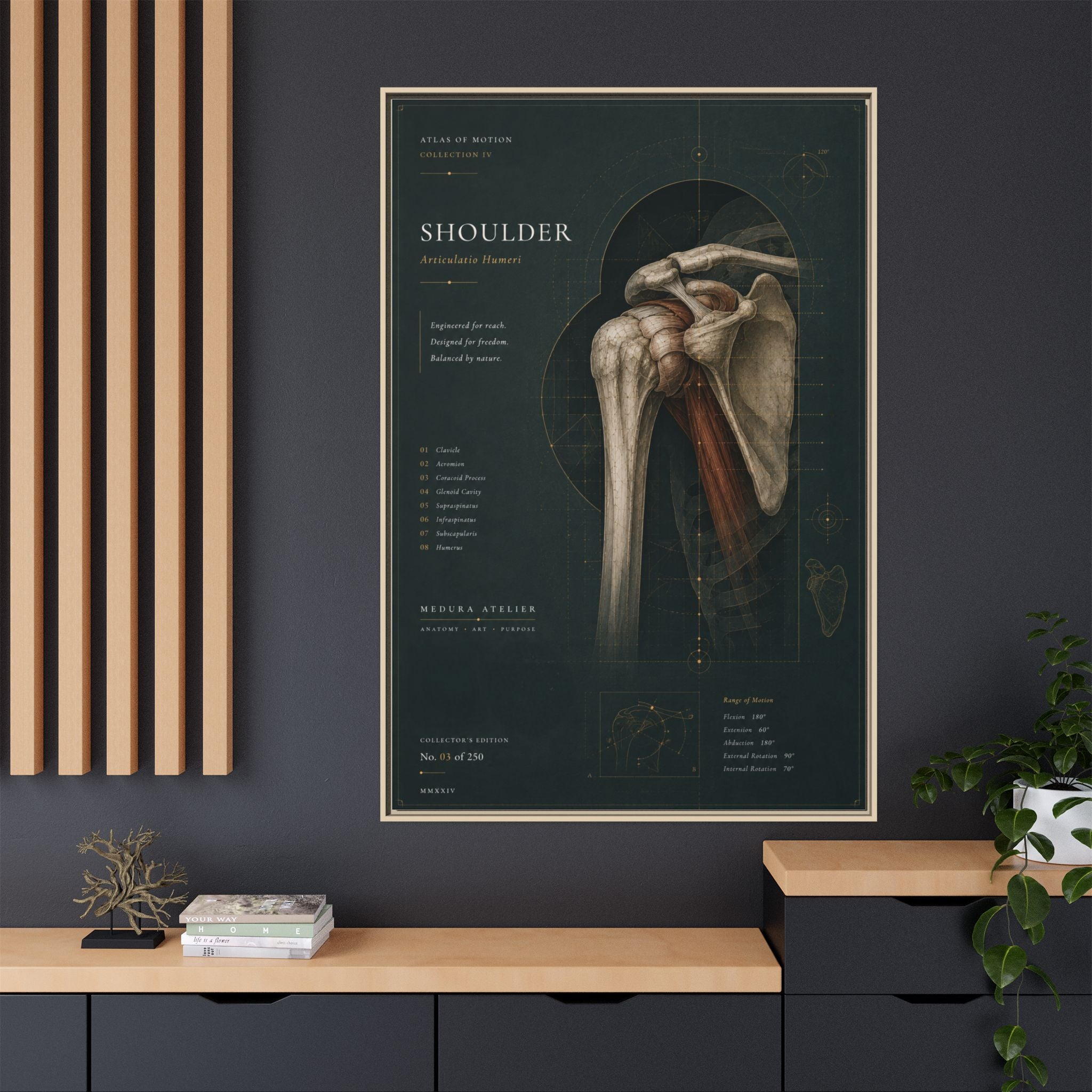 Copy of Atlas of Motion – Knee Wall Art | Luxury Orthopedic Canvas Print | Museum-Inspired Fine Art