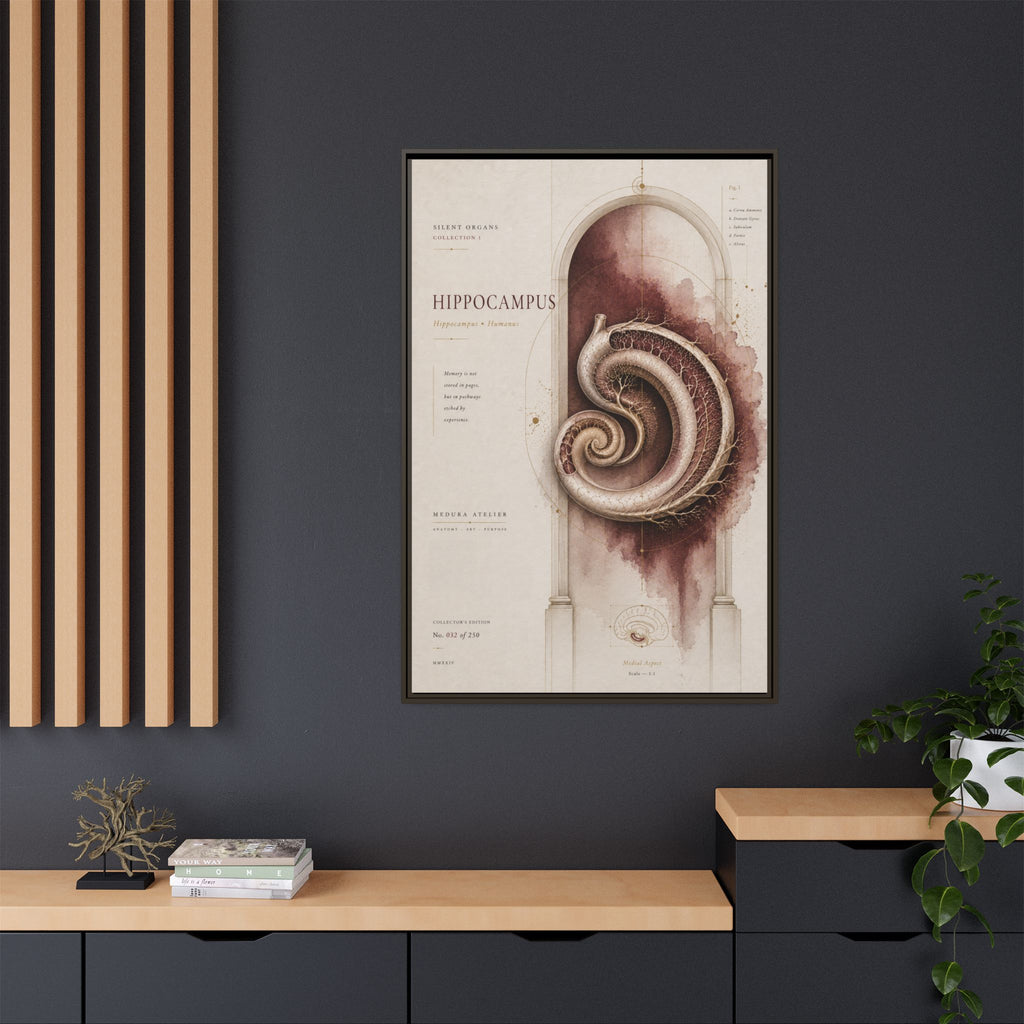 Silent Organs – Hippocampus Wall Art | Luxury Neuroscience Canvas Print | Museum-Inspired Fine Art