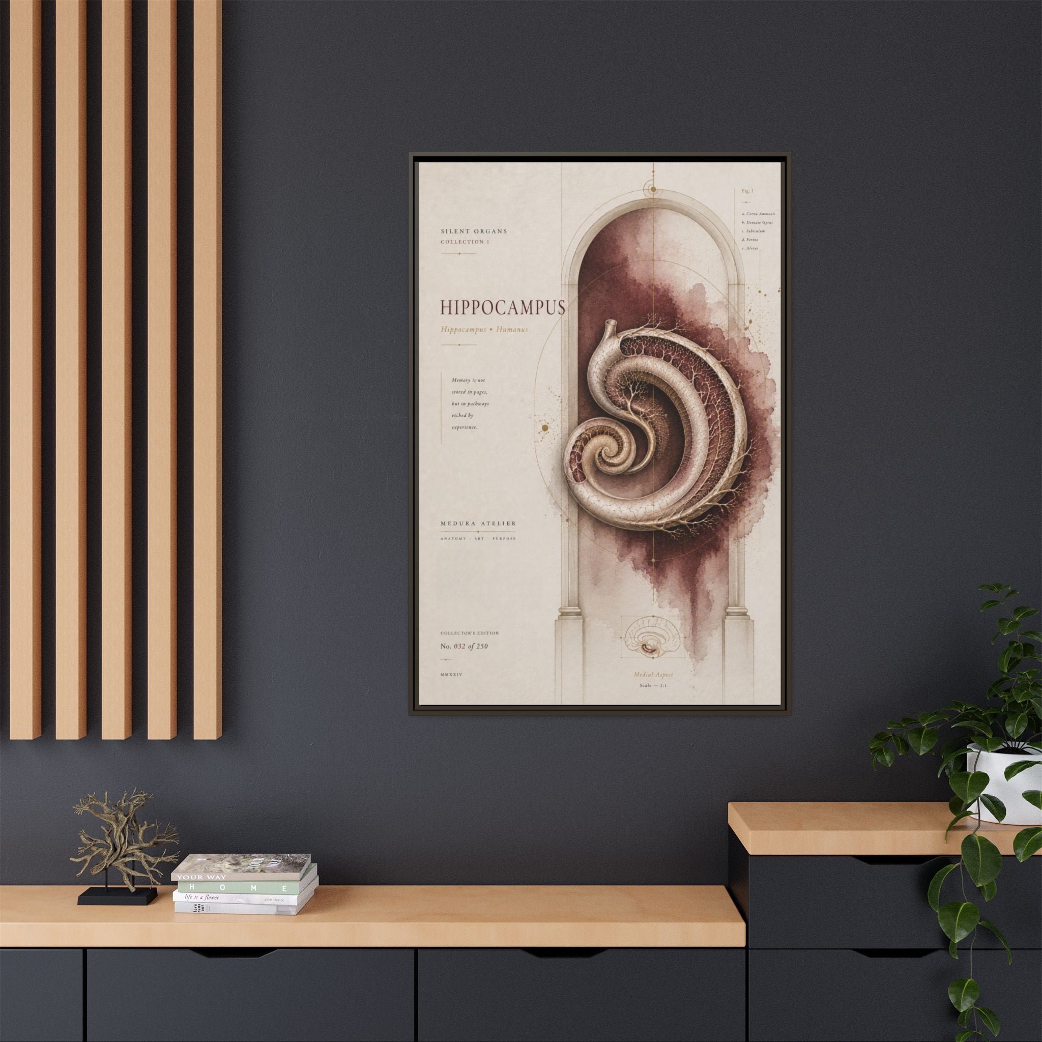Silent Organs – Hippocampus Wall Art | Luxury Neuroscience Canvas Print | Museum-Inspired Fine Art