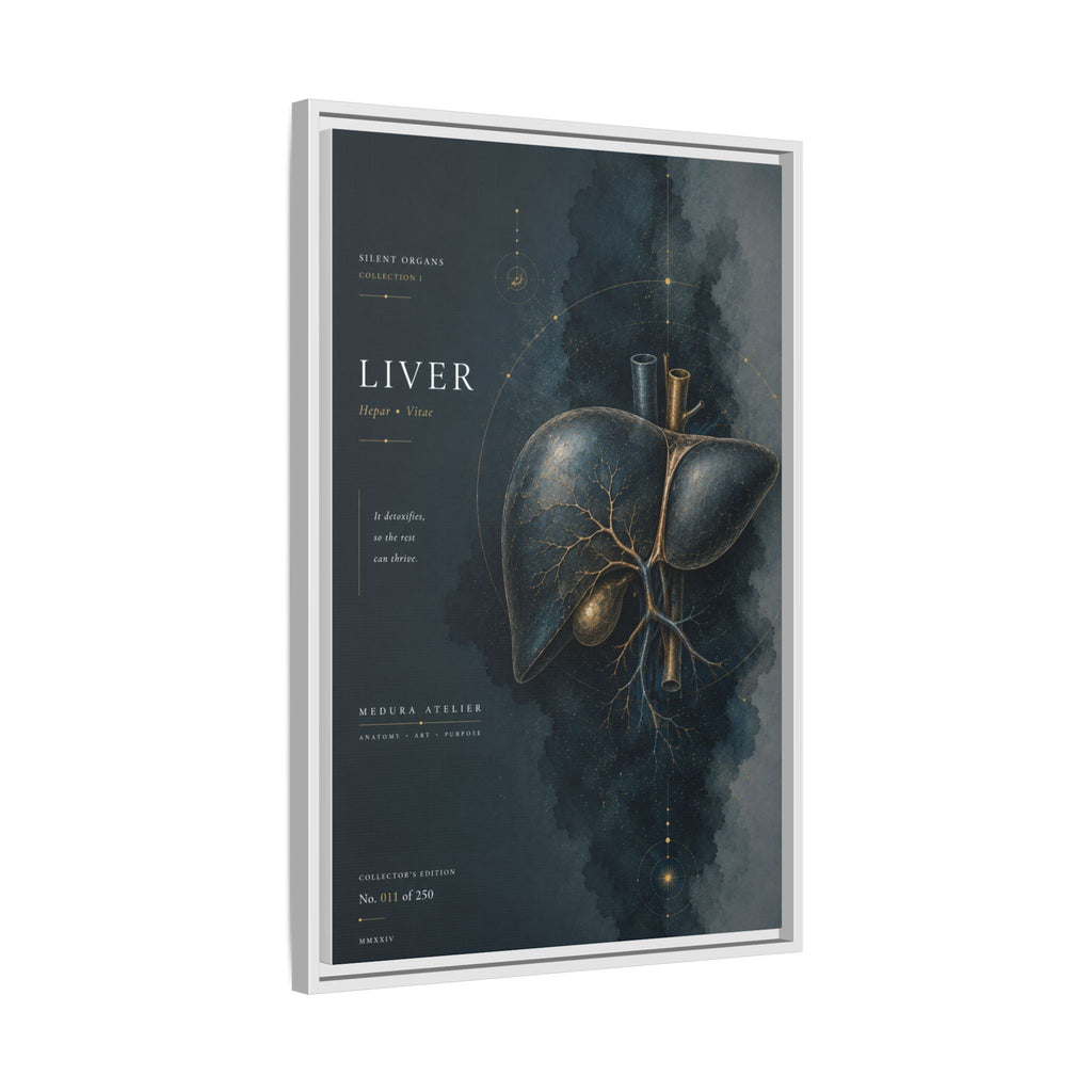 Silent Organs – Liver Wall Art | Luxury Anatomical Canvas Print | Museum-Inspired Fine Art