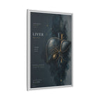 Silent Organs – Liver Wall Art | Luxury Anatomical Canvas Print | Museum-Inspired Fine Art