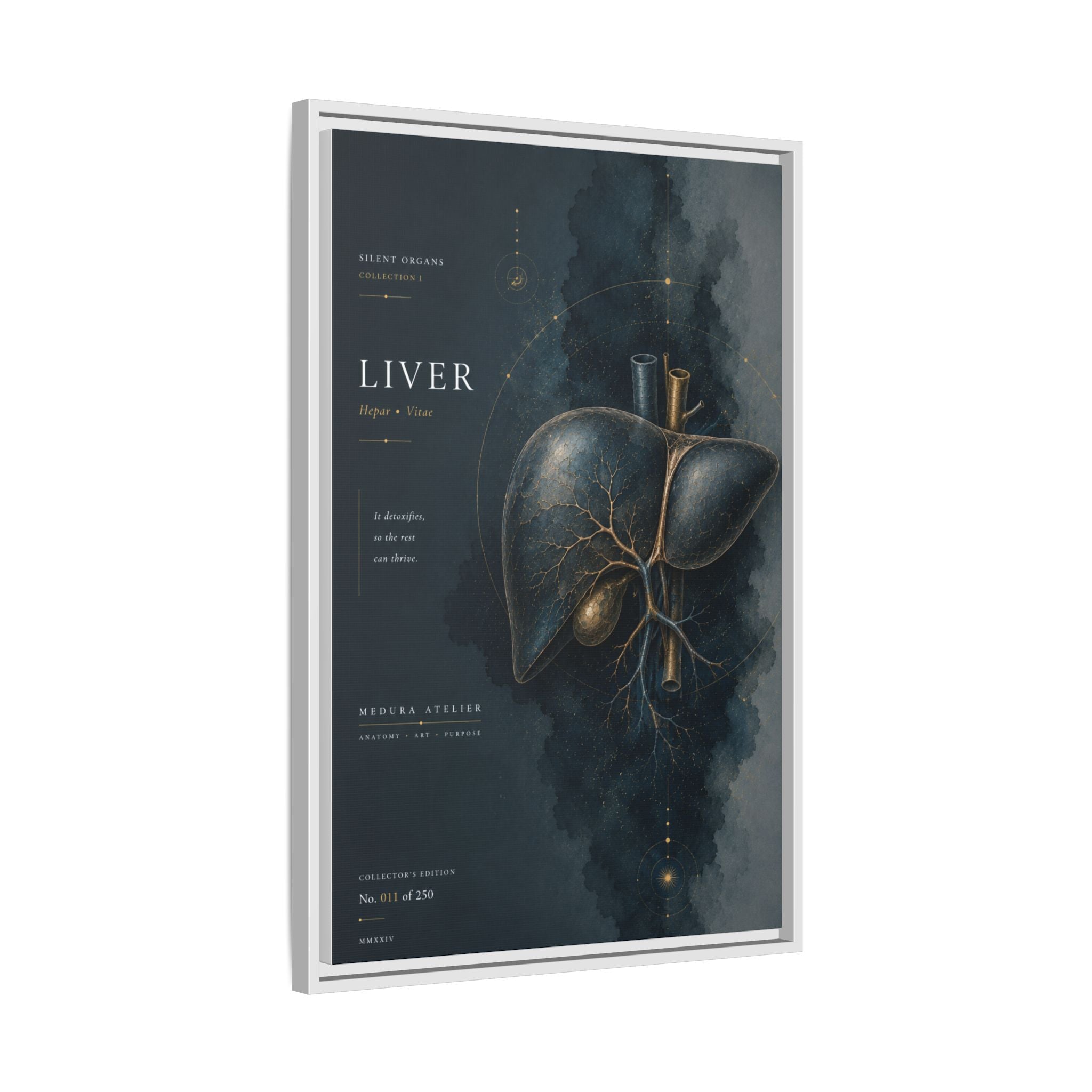 Silent Organs – Liver Wall Art | Luxury Anatomical Canvas Print | Museum-Inspired Fine Art