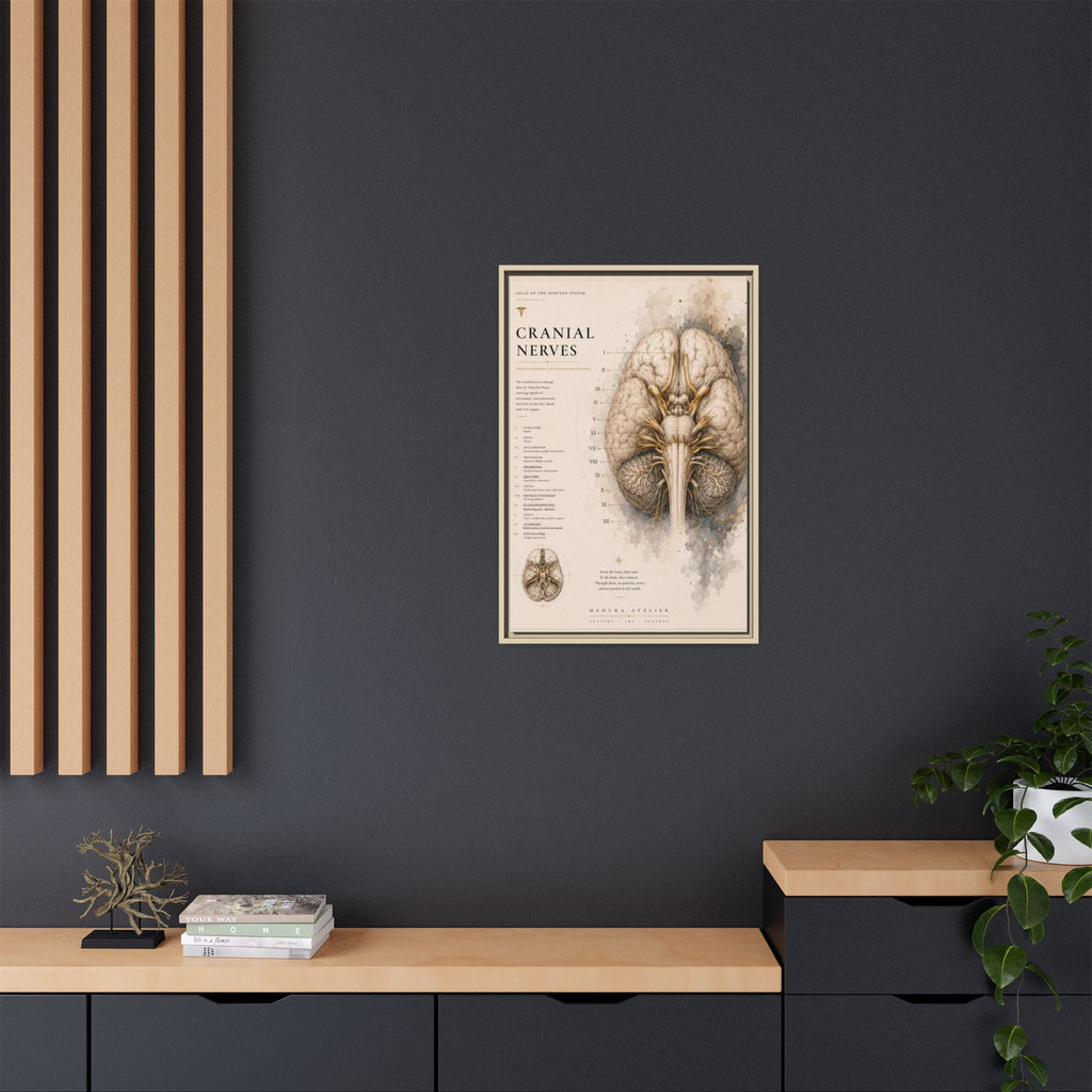 White Matter Brain Wall Art | Luxury Neuroscience Canvas Print | Museum-Inspired Fine Art