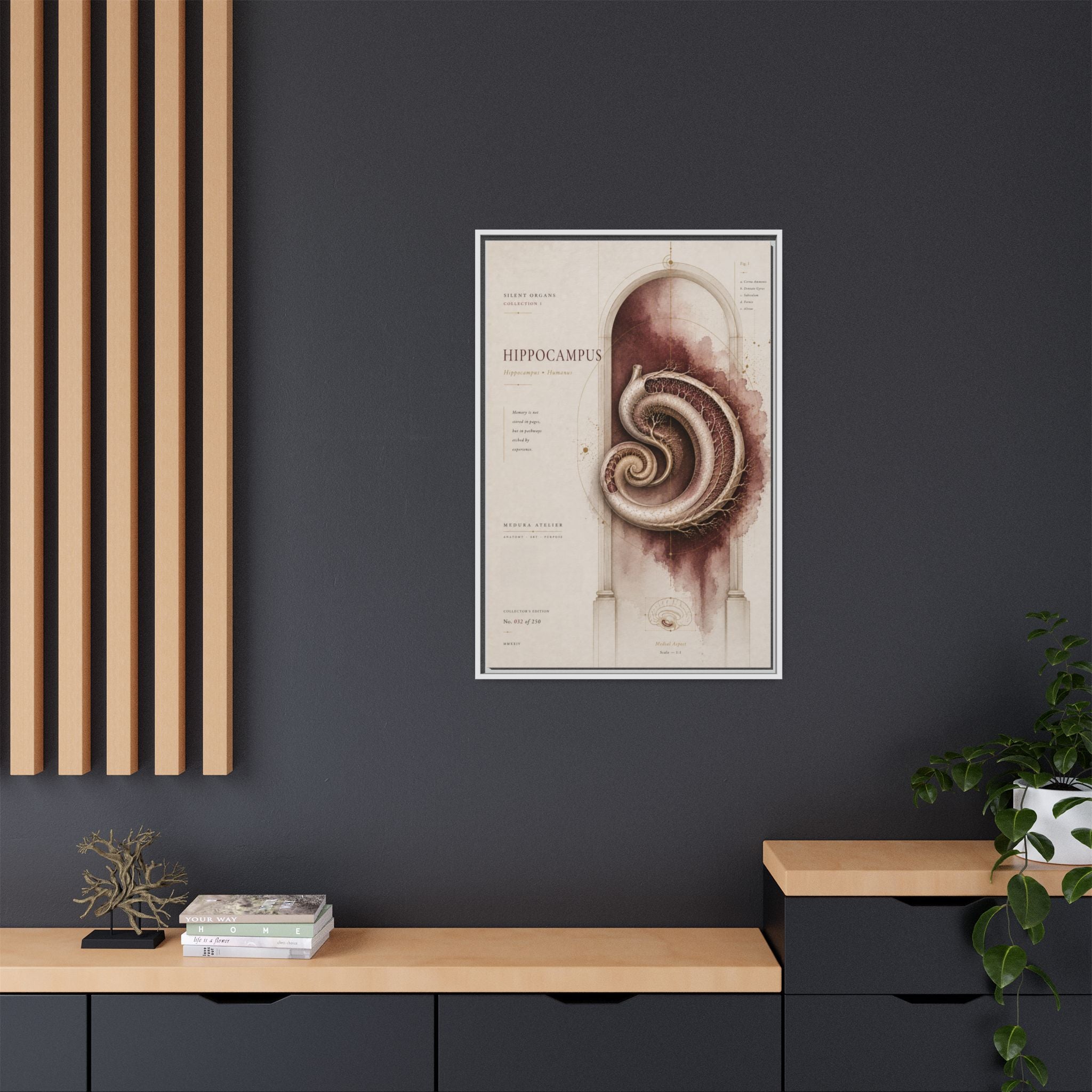 Silent Organs – Hippocampus Wall Art | Luxury Neuroscience Canvas Print | Museum-Inspired Fine Art